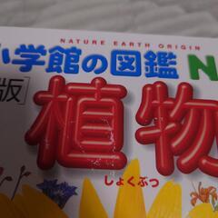 小学館の図鑑　NEO 3点セット［新版］の画像