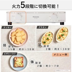 Panasonic NT-T501-W WHITEの画像