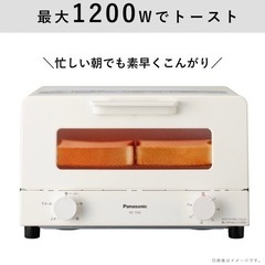 Panasonic NT-T501-W WHITEの画像