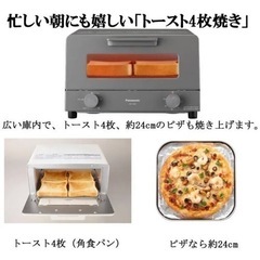 Panasonic NT-T501-W WHITEの画像
