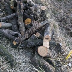 薪　バーベキュー　にの画像