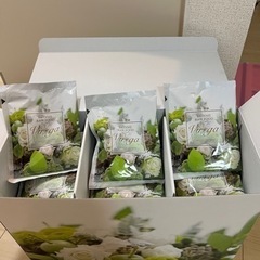 酵素ドリンク・ダイエット用品