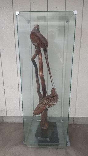 剥製