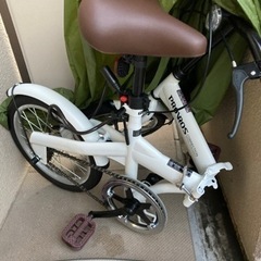 【決まりました】PROVROS(プロブロス) P-160 折りたたみ自転車 自転車 折り畳み自転車軽量16インチの画像