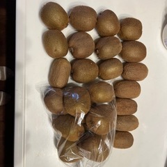 キュウイの画像