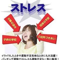22177 Kalorary パンチングボール ボクシング パンチングボール ホームボクシング用品 ストレス解消 パンチバッグ トレーニング用 の画像