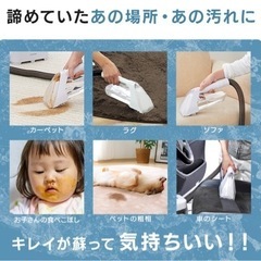 リンサークリーナ　貸します - 貸したい