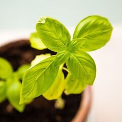 【個別相談】起業・フリーランスを目指したい会社員の方へ🌱