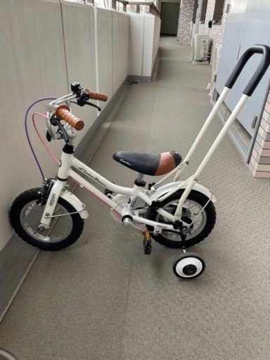 コーダーブルーム　アッソン　12 白　ホワイト