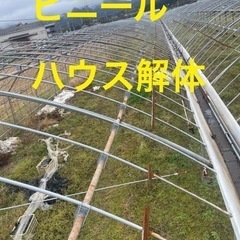 ビニールハウス.パイプハウスの解体