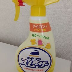 東芝衣類スチーマー綺麗の画像
