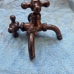 二股蛇口ブロンズの画像