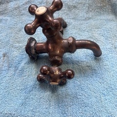 二股蛇口ブロンズの画像