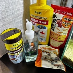 熱帯魚一式の画像