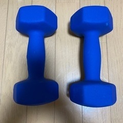 ダンベル　10kg ×2  / 6kg×2 / 4.5kg×2の画像