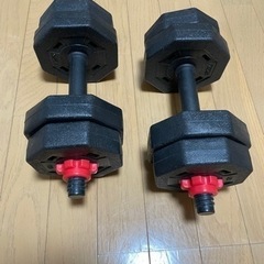 ダンベル　10kg ×2  / 6kg×2 / 4.5kg×2の画像