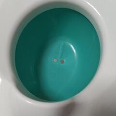おまるとしては未使用の画像