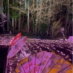 教会バンドメンバー募集！唄！ハモリ！ピアノ！管楽器！弦楽器！踊！募集中！動画有 − 兵庫県