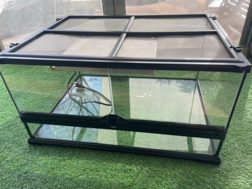 決まりました！　エキゾテラ　ケージ　グラステラリウム　6030 フルセット