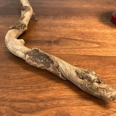 6.脱皮中〜小枝付き流木…天然物、インテリア、オブジェの画像