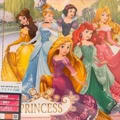 ディズニープリンセス ナカバヤシ フエルアルバム