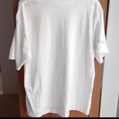 タッキー＆翼　2006年コンサートまとめ売りの画像