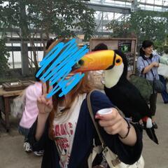 COMME CA ISMのサマーパーカーをずっと探してます