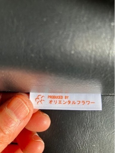 新品未使用人気‼️サバイDXfro厚さ10センチセミダブル‼️➕枕➕電気マットはプレゼント