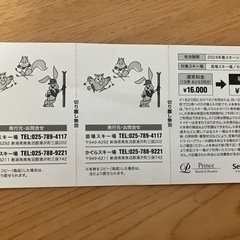 1日リフト券２枚【かぐらスキー場or苗場スキー場】の画像