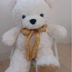 熊　テディベア