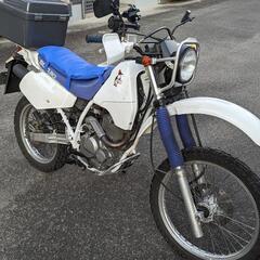 【2/29まで】DJEBEL250（SJ44A）ジェベル250の画像