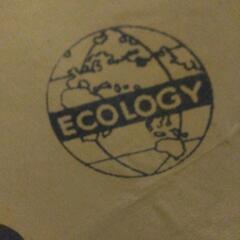 厚木方面❗ECOLOGYの傘の画像