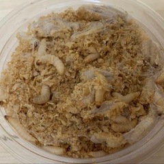 【爬虫類、両生類の餌】ハニーワーム100匹　×4カップ