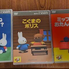 ミッフィーDVD三本 キズあり