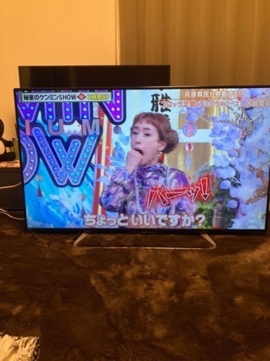 SHARP AQUOS 大きい❗️50インチ