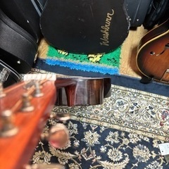 🐱小さめな全音楽器molaresアコースティックギター🐱の画像