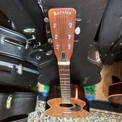 🐱小さめな全音楽器molaresアコースティックギター🐱の画像