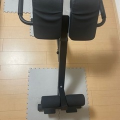 バックエクステンションの画像