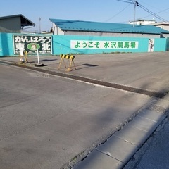 ウマ娘、競馬好きな方