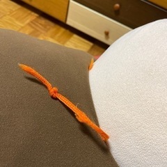 アンパンマンの大きなぬいぐるみと車の画像