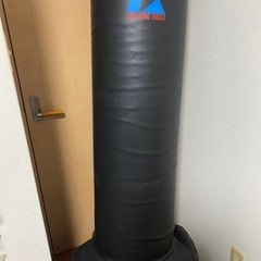 豊橋引き取り限定
