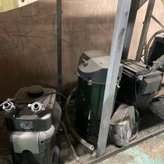 エーハイム 訳ありの画像