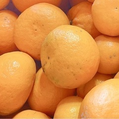 はれひめ　綺麗