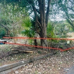 【初期費用なし】貸資材置場山小屋個人キャンプ場隠れ家用地@千葉県山武市 成田空港九十九里浜30分【売却可200万円】 - 山武市