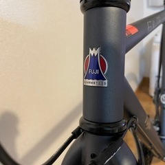 Fuji フェザーcxフラットの画像