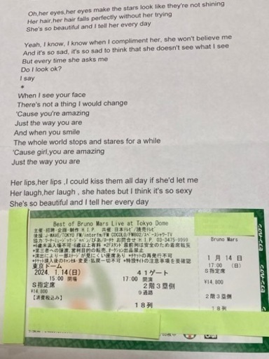 【うにゃん様決定】お値下げ❗️Bruno Mars ブルーノマーズ　1/14(日)S指定席 1枚　東京ドーム