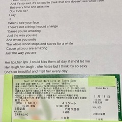 【うにゃん様決定】お値下げ❗️Bruno Mars ブルーノマー...