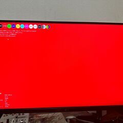 【取りに来てくれる方限定】PCモニター 2K165HZ LG 2...