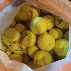 テニスボールの画像