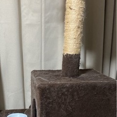 キャットタワー中古